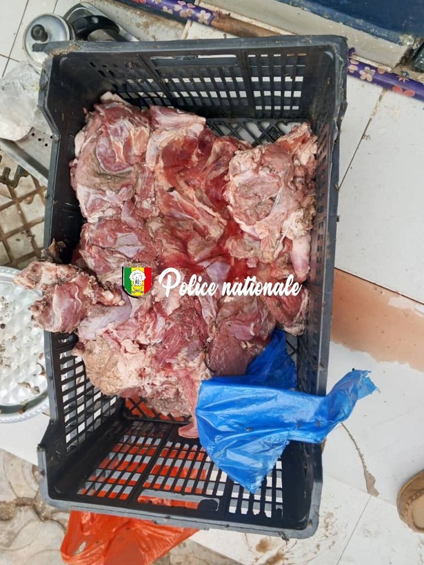 Diamaguène Sicap Mbao : Trois individus arrêtés pour vente de viande impropre à la consommation