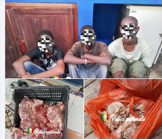 Diamaguène Sicap Mbao : Trois individus arrêtés pour vente de viande impropre à la consommation
