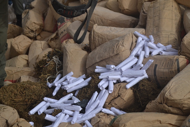 Trafic de drogue à Pikine : quatre individus arrêtés avec 29 kg de chanvre indien Trafic de drogue à Pikine : quatre individus arrêtés avec 29 kg de chanvre indien