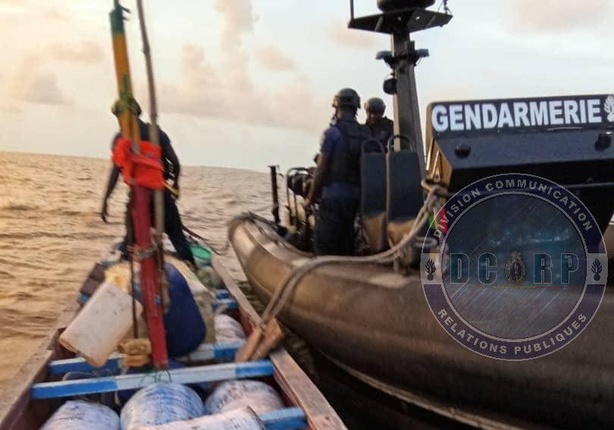 Mbour : 483 kg de chanvre indien saisis par la Gendarmerie nationale Mbour : 483 kg de chanvre indien saisis par la Gendarmerie nationale