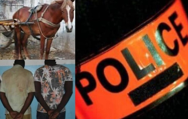 Mineure séquestrée et abusée à Rufisque : O. Diop arrêté, T. Ba activement recherché Mineure séquestrée et abusée à Rufisque : O. Diop arrêté, T. Ba activement recherché