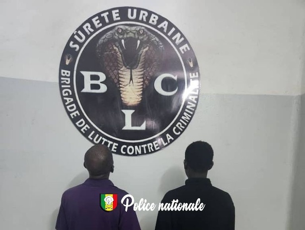 Dakar : deux trafiquants de cocaïne arrêtés par la Sûreté urbaine Dakar : deux trafiquants de cocaïne arrêtés par la Sûreté urbaine