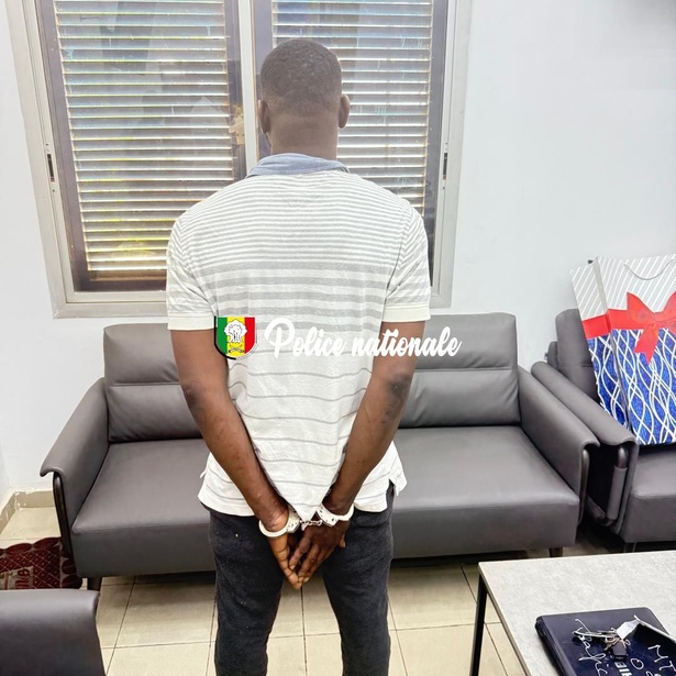 Dieuppeul : un complice de trafic de chanvre indien arrêté avec 5,5 kg... Dieuppeul : un complice de trafic de chanvre indien arrêté avec 5,5 kg...