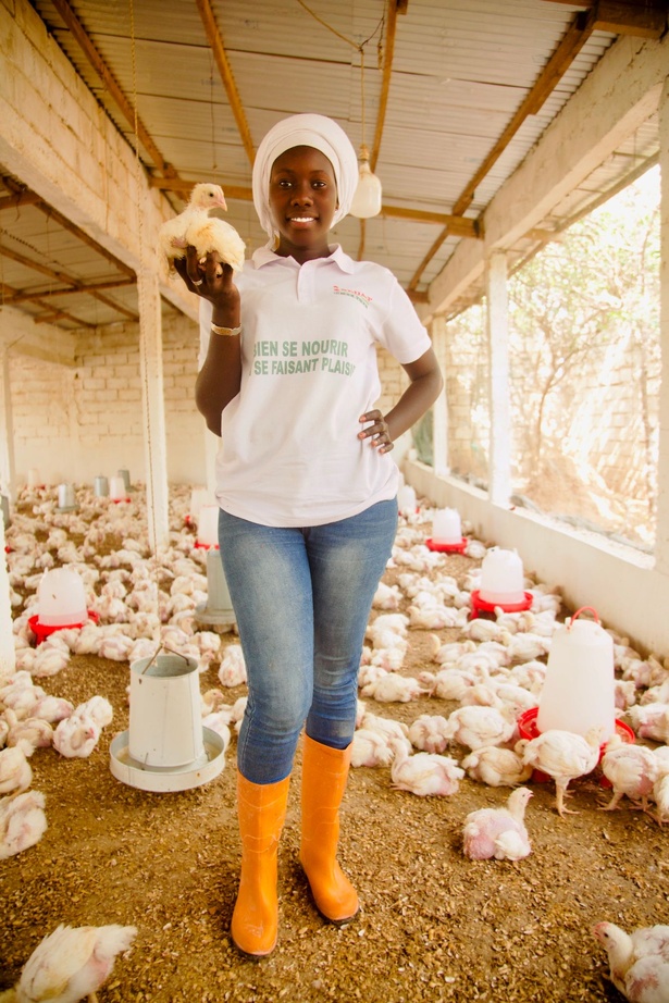Mengué Diouf, 26 ans, veut faire de Sedap’Tech la référence de l’aviculture intelligente en Afrique
