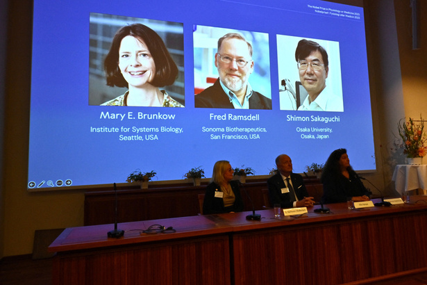 Prix Nobel de médecine 2025 : Mary E. Brunkow, Fred Ramsdell et Shimon Sakaguchi récompensés pour leurs découvertes sur la tolérance immunitaire