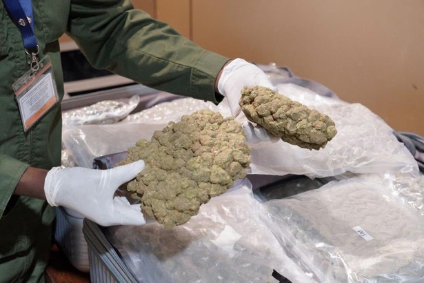 AIBD :les images de la saisie spectaculaire de 32 kg de haschich dissimulés dans des valises