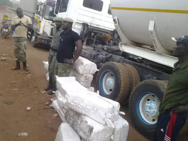 Ziguinchor: La Douane saisit 480 kg de chanvre indien et 70 boulettes de cocaïne