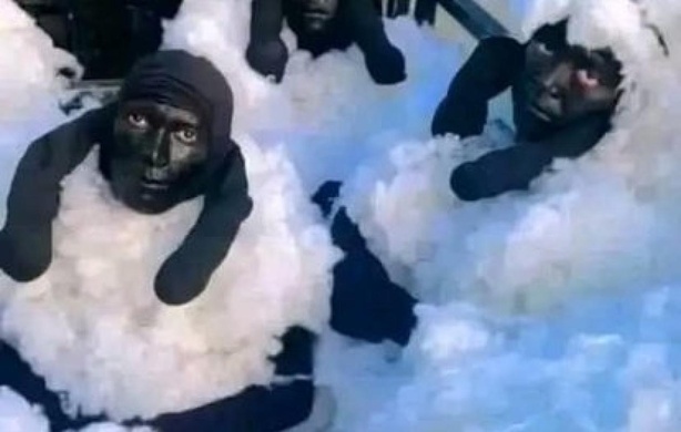 Tentative insolite : ils tentent de rejoindre l’Europe déguisés en moutons Tentative insolite : ils tentent de rejoindre l’Europe déguisés en moutons