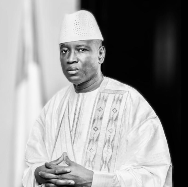  “Faut-il attendre que Bamako tombe ?" (Par Aly Ngouille NDIAYE )