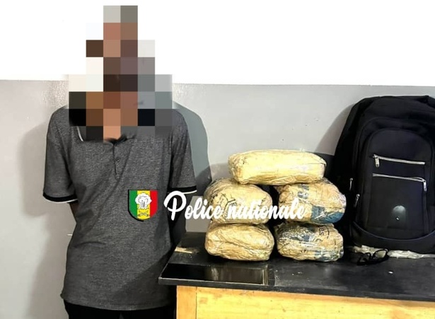 Sédhiou : un homme interpellé avec 20 kg de chanvre indien Sédhiou : un homme interpellé avec 20 kg de chanvre indien