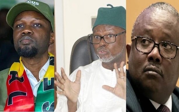 Crise en Guinée-Bissau : Alioune Tine affirme que Sonko a provoqué la fuite précipitée d’Embaló vers Brazzaville Crise en Guinée-Bissau : Alioune Tine affirme que Sonko a provoqué la fuite précipitée d’Embaló vers Brazzaville