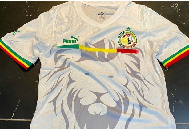 Affaire de faux papiers : un ancien latéral des Lions placé en garde à vue Affaire de faux papiers : un ancien latéral des Lions placé en garde à vue