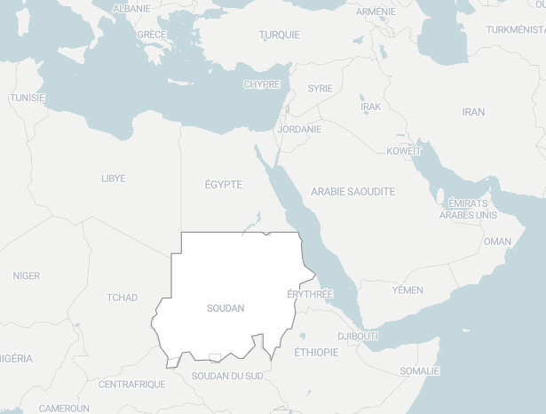 Soudan : comment les soutiens des FSR aggravent la crise humanitaire