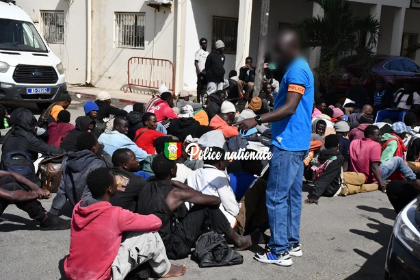 Migration irrégulière : des Sénégalais, Gambiens et Guinéens parmi les 238 interpellés
