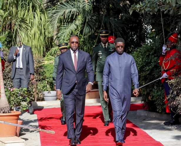 Quand Diomaye Faye parle de son successeur au palais : « Demain, ce sera peut-être le PM » Quand Diomaye Faye parle de son successeur au palais : « Demain, ce sera peut-être le PM »