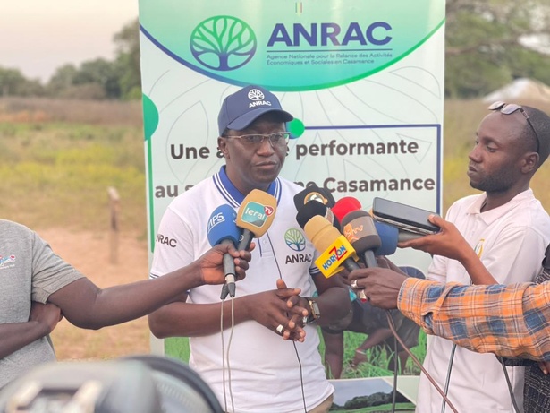 ANRAC : le conseil de surveillance délocalisé pour la première fois à Ziguinchor ANRAC : le conseil de surveillance délocalisé pour la première fois à Ziguinchor
