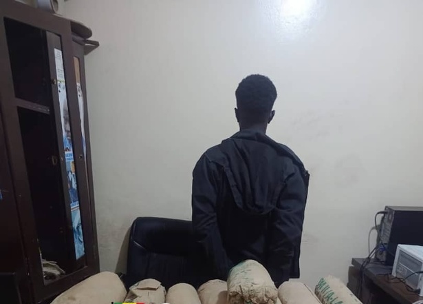 Fatick : 15 kg de chanvre indien saisis, un suspect interpellé Fatick : 15 kg de chanvre indien saisis, un suspect interpellé