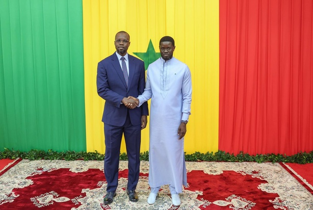 Cheikh Yérim Seck : « Si Diomaye et Sonko échouent, plus personne ne votera pour un jeune » Cheikh Yérim Seck : « Si Diomaye et Sonko échouent, plus personne ne votera pour un jeune »