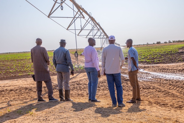 PRODAC : Diomaye dépêche une mission d’inspection aux DAC de KMS et de Dodji PRODAC : Diomaye dépêche une mission d’inspection aux DAC de KMS et de Dodji