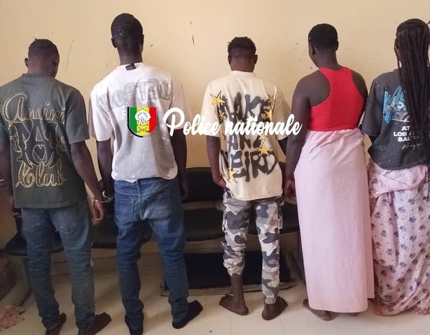 Ndorong : cinq individus surpris en pleine consommation de chanvre indien Ndorong : cinq individus surpris en pleine consommation de chanvre indien