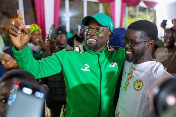 CAN : le Sénégal célèbre ses Lions avec une journée fériée CAN : le Sénégal célèbre ses Lions avec une journée fériée