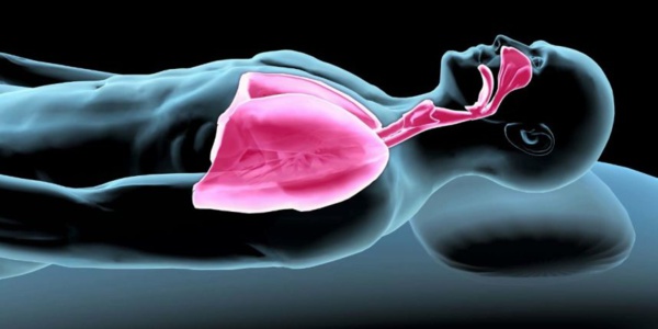 Révélation: l’Asthme fait 255 mille morts chaque année Révélation: l’Asthme fait 255 mille morts chaque année