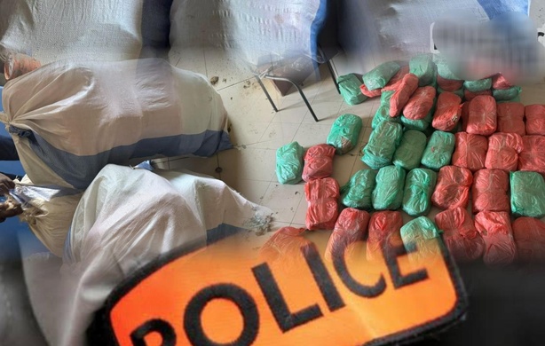 Encore à Keur Massar : 56 kg de chanvre indien saisis par l’OCRTIS