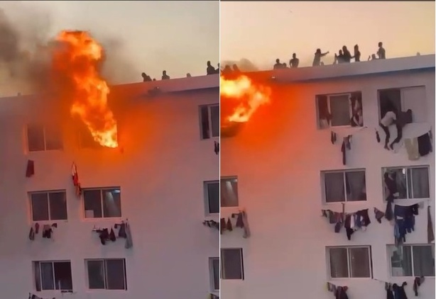 UCAD : une intervention des forces de l’ordre vire au chaos UCAD : une intervention des forces de l’ordre vire au chaos