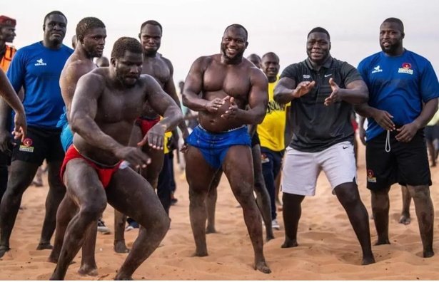 Qui est «Franc Ndiago», le lutteur invaincu qui secoue l’arène sénégalaise? Qui est «Franc Ndiago», le lutteur invaincu qui secoue l’arène sénégalaise?