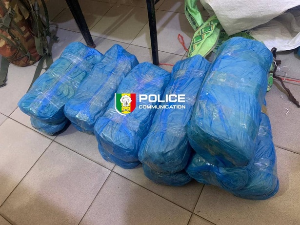 Fatick : saisie de 23 kg de chanvre indien dans la forêt de Pakala Fatick : saisie de 23 kg de chanvre indien dans la forêt de Pakala