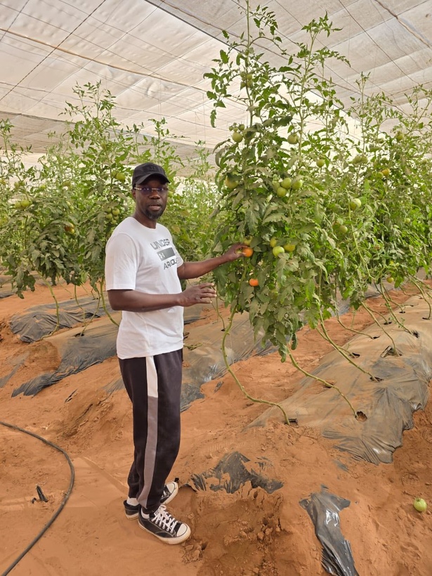Ousmane Sonko  : « Le pari de la souveraineté est d’abord un pari individuel »