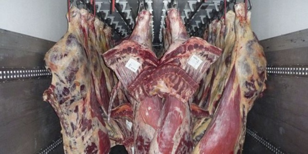 Attention: 55 tonnes de viande d’âne en circulation