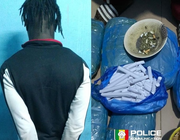 Ziguinchor : la police intercepte un présumé dealer avec 97 cornets de chanvre indien