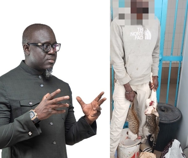 Tahirou Sarr : « Si nous proposons d’interdire la vente d’aliments par des étrangers… » Tahirou Sarr : « Si nous proposons d’interdire la vente d’aliments par des étrangers… »