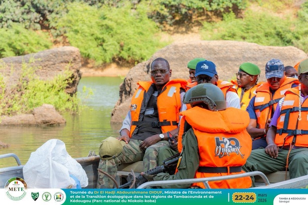 Tambacounda–Kédougou : le ministre de l’Environnement en immersion au cœur des enjeux écologiques Tambacounda–Kédougou : le ministre de l’Environnement en immersion au cœur des enjeux écologiques