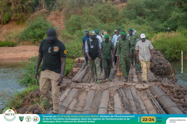 Tambacounda–Kédougou : le ministre de l’Environnement en immersion au cœur des enjeux écologiques Tambacounda–Kédougou : le ministre de l’Environnement en immersion au cœur des enjeux écologiques