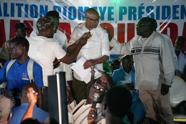 Alpha Thiam accusé de « recycler toute la racaille politique sénégalaise »