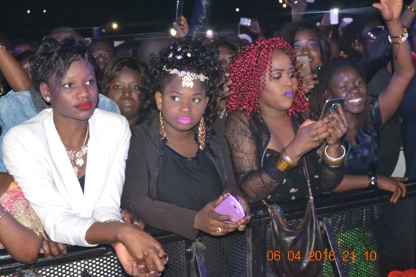 France: Waly Seck n'a pas fait le plein à Bercy France: Waly Seck n'a pas fait le plein à Bercy