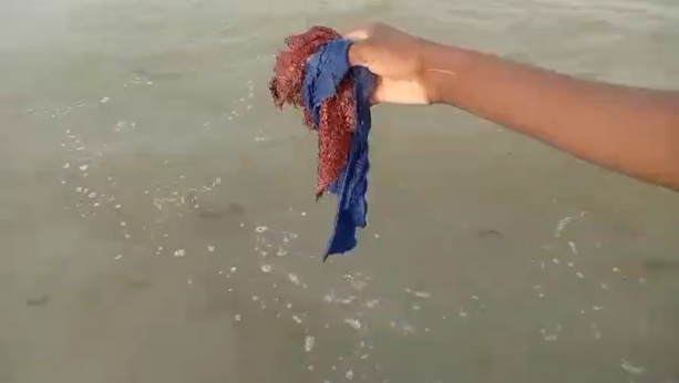 Étude scientifique : état des lieux préoccupant de la pollution des eaux à Dakar Étude scientifique : état des lieux préoccupant de la pollution des eaux à Dakar