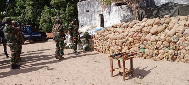Coup de filet dans le Sud : 9,25 tonnes de chanvre indien saisies par l’armée Coup de filet dans le Sud : 9,25 tonnes de chanvre indien saisies par l’armée