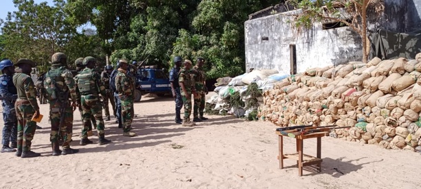 Coup de filet dans le Sud : 9,25 tonnes de chanvre indien saisies par l’armée