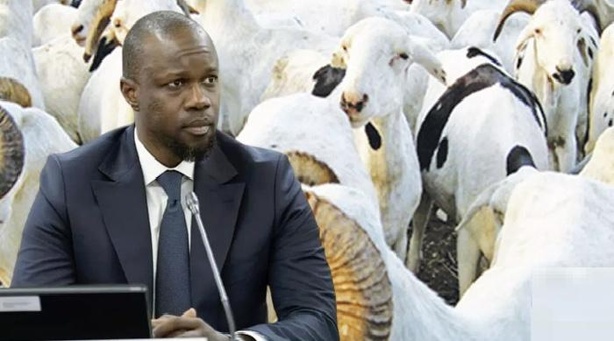 Ousmane Sonko fixe le cap : 21 mesures pour une Tabaski sans pénurie ni spéculation Ousmane Sonko fixe le cap : 21 mesures pour une Tabaski sans pénurie ni spéculation