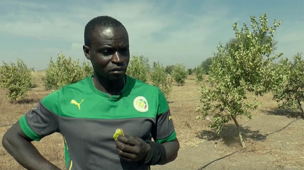 Sénégal : Ferdinand Coly cité dans un dossier de 16 milliards FCFA épinglé par la Cour des comptes