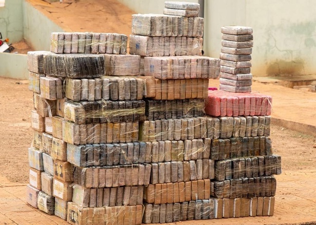 Trafic international de drogue : 970,6 kg de cocaïne interceptés dans le Sud-Est du Sénégal