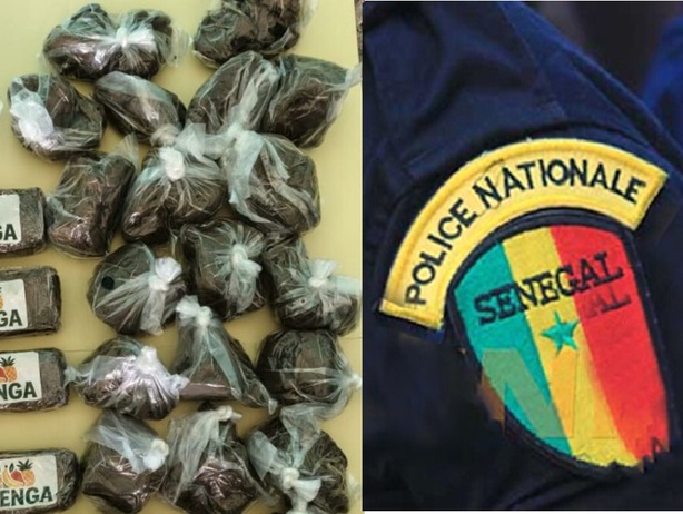 Détention de Drogue : le fils d'un nouveau ministre arrêté par la police Détention de Drogue : le fils d'un nouveau ministre arrêté par la police