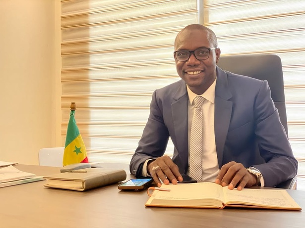 Le député Moussa Hamady Sarr (Nouvelle Responsabilité) : « Nous sommes dans une dynamique de conquête du pouvoir en 2029 » Le député Moussa Hamady Sarr (Nouvelle Responsabilité) : « Nous sommes dans une dynamique de conquête du pouvoir en 2029 »
