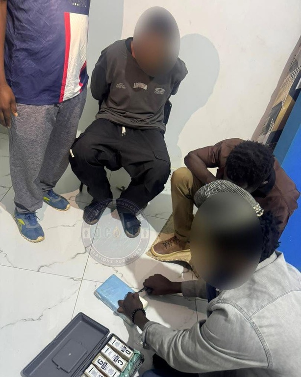 Trafic de cocaïne à Dakar : la fille de Mame Makhtar Guèye parmi les quatre suspects déférés Trafic de cocaïne à Dakar : la fille de Mame Makhtar Guèye parmi les quatre suspects déférés