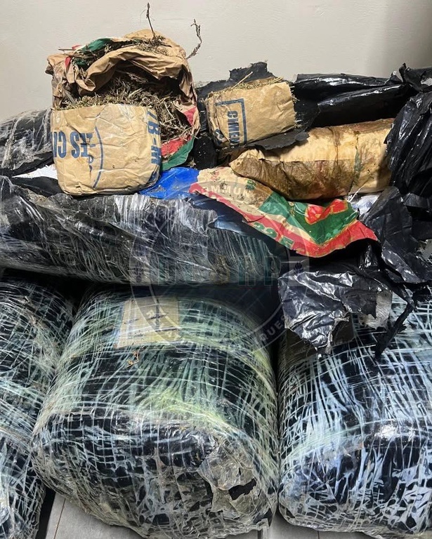 Trafic de drogue : plus de 300 kg de chanvre indien saisis à Thiaroye, deux suspects arrêtés Trafic de drogue : plus de 300 kg de chanvre indien saisis à Thiaroye, deux suspects arrêtés