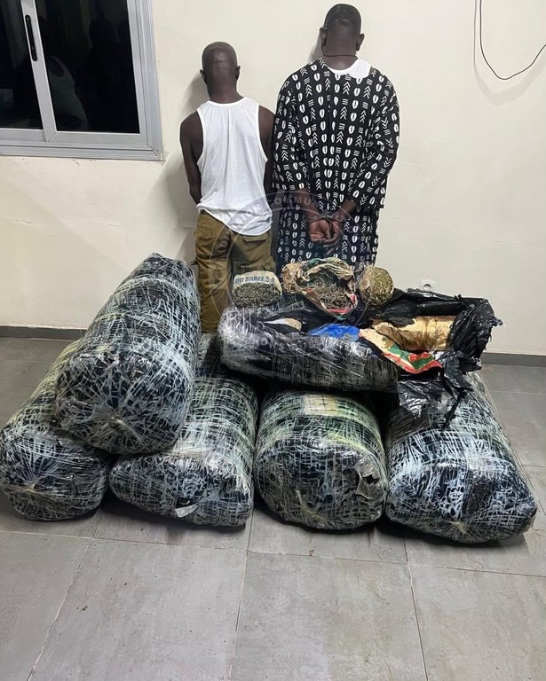 Trafic de drogue : plus de 300 kg de chanvre indien saisis à Thiaroye, deux suspects arrêtés