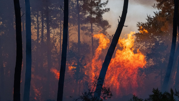 Incendies en France : le gouvernement annonce plus de 160 interpellations